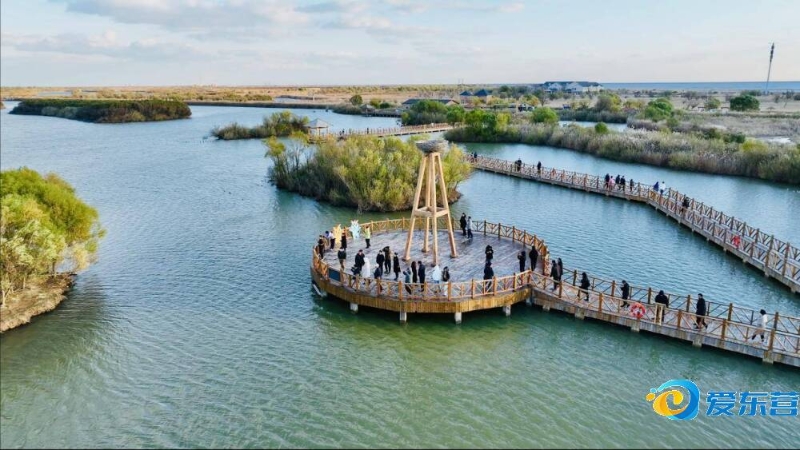 新星在巴萨 新星在巴萨